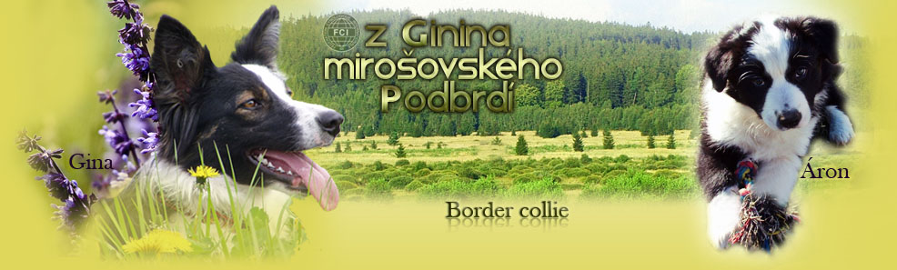 Z Ginina mirokovskho Podbrd